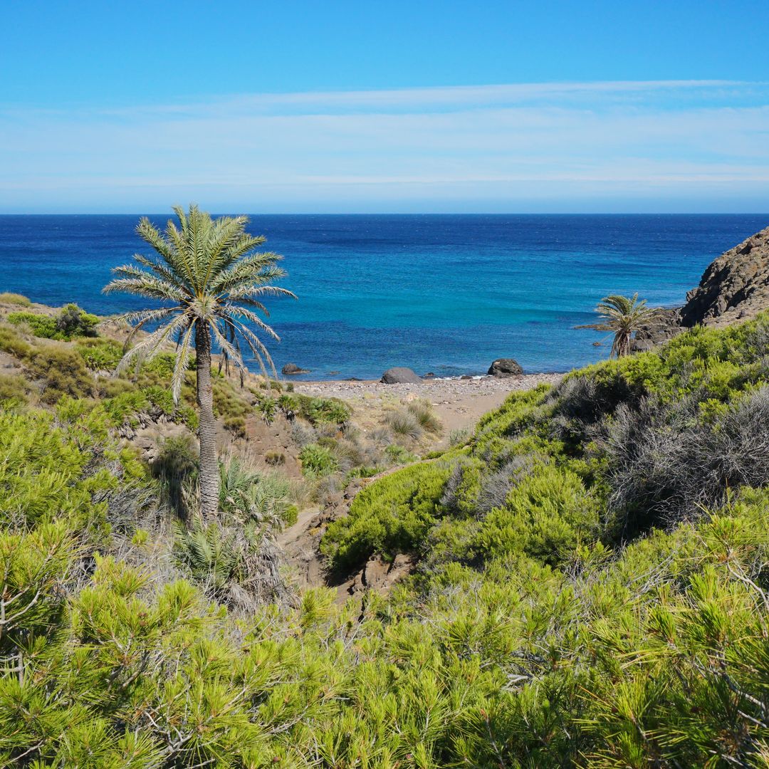 Playa de los Toros, Cabo de Gata-Níjar, Almería