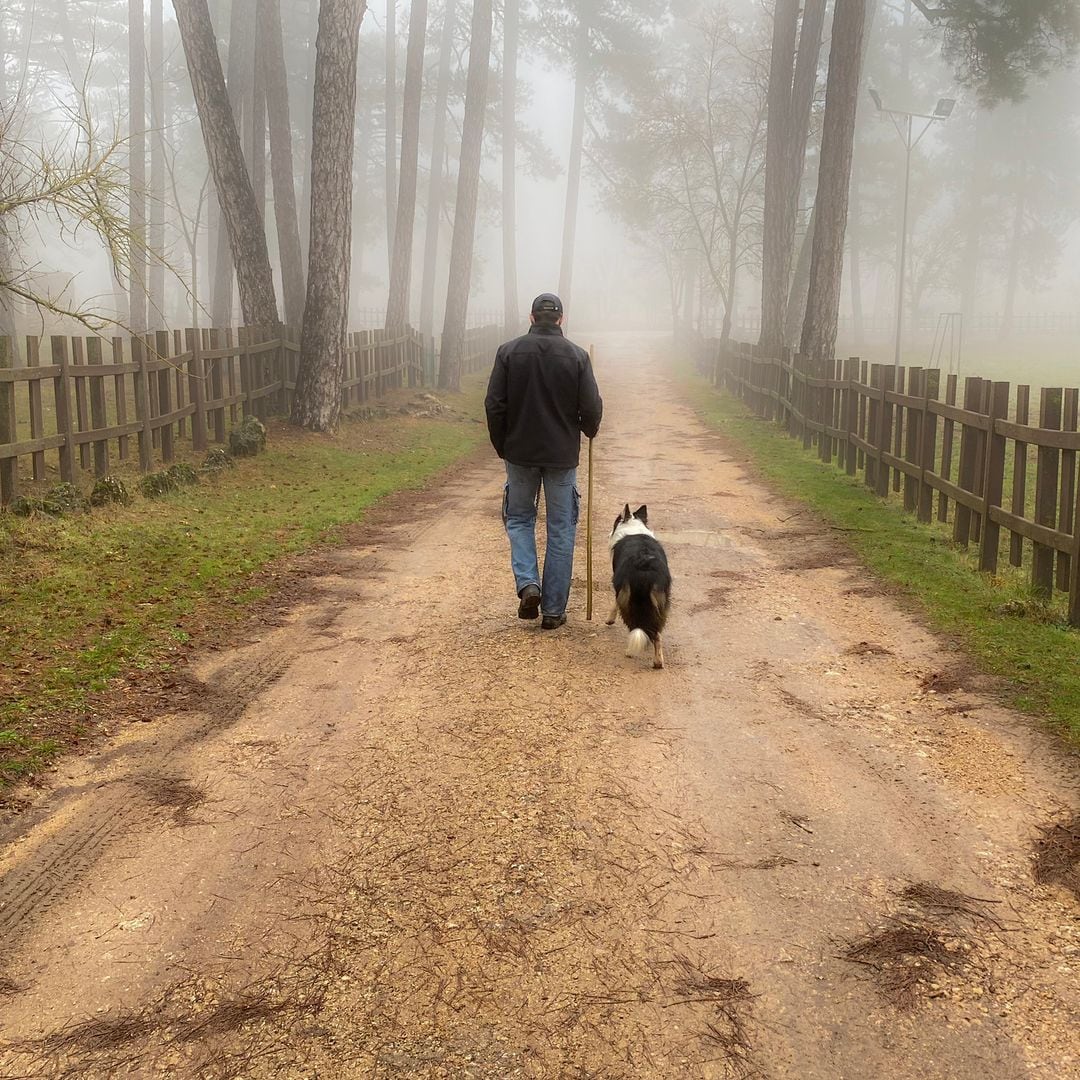 Lluvias, nieve en cotas bajas y máximas de un dígito: la Aemet dibuja una semana 'más fría de lo normal' en España
