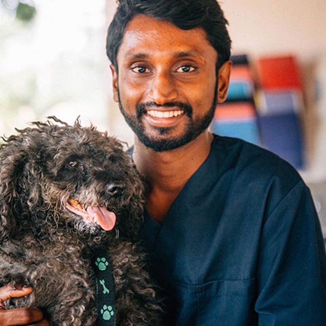 Una clínica veterinaria de Sri Lanka lucha por salvar a sus perros callejeros