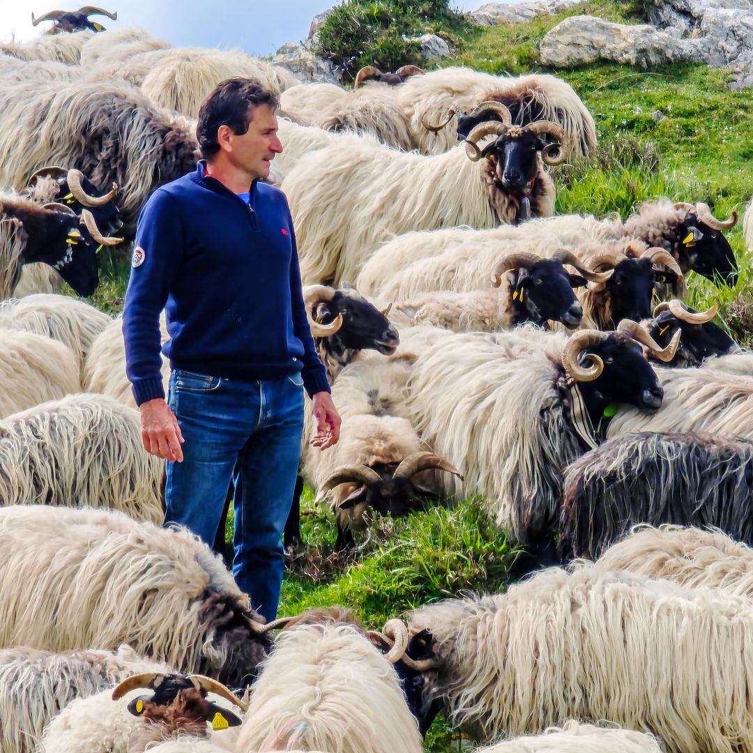 braulio ruiz, pastor de bejes, Liébana, Cantabria