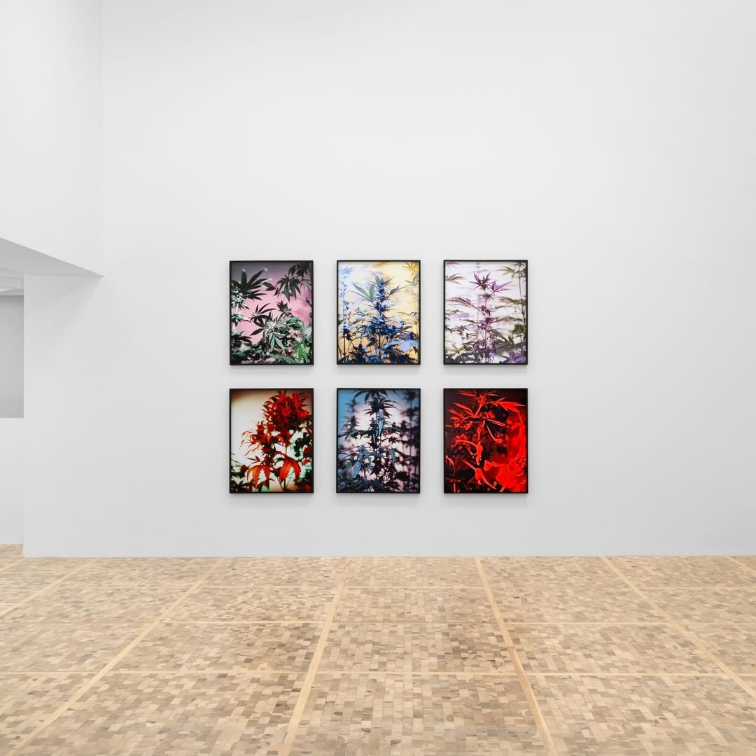 Exposición “El Horizonte Siempre se Aleja” en el Museo Tamayo