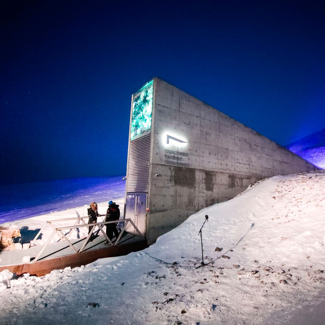 A prueba de tsunamis y rodeada de osos polares: así es el búnker que custodia el olivo español y acaba de ganar el Princesa de Asturias 2026