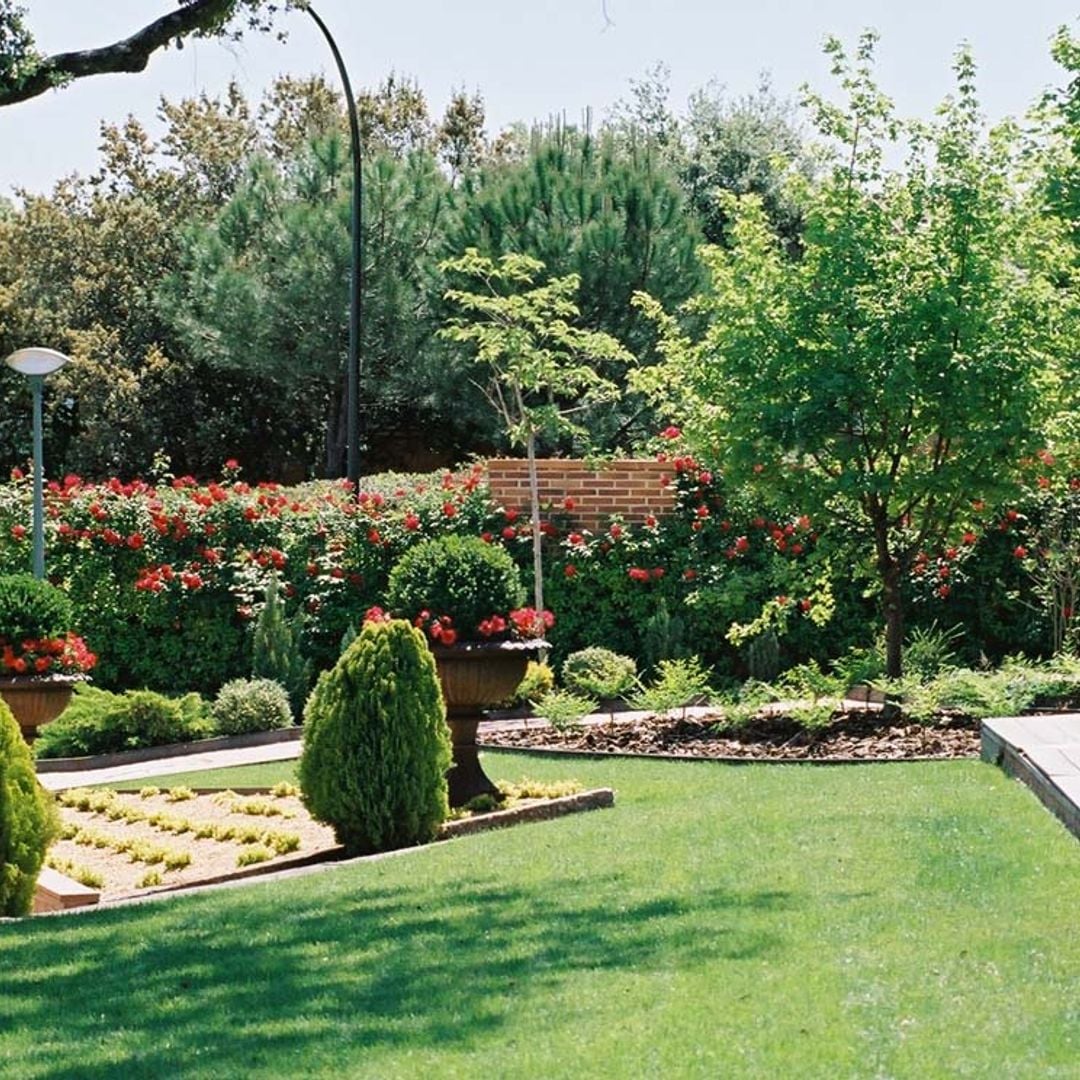 Te descubrimos cómo crear un jardín sostenible y adaptado a su entorno