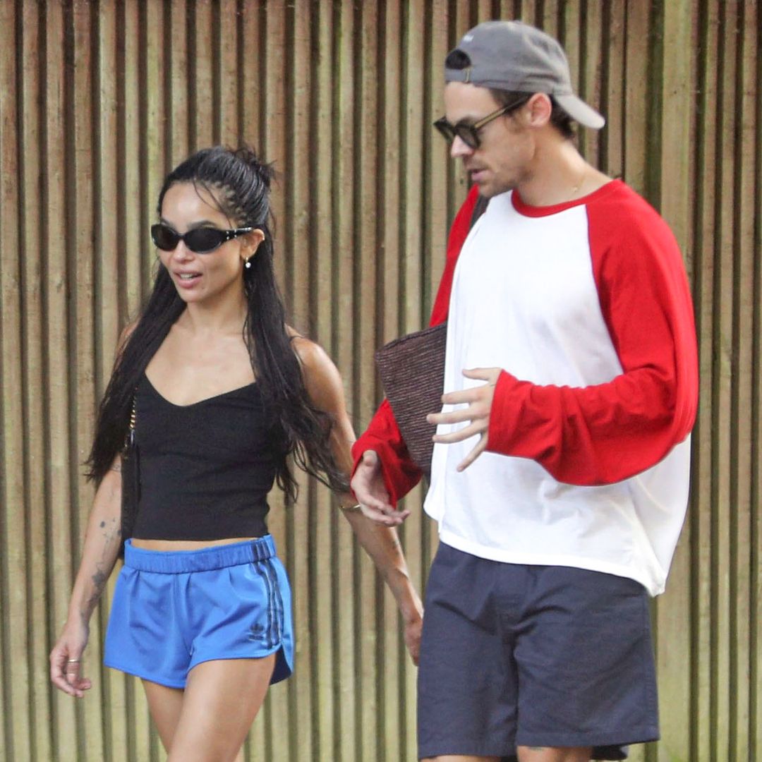 Harry Styles y Zoë Kravitz sorprenden con un picnic improvisado en un parque de la Ciudad de México