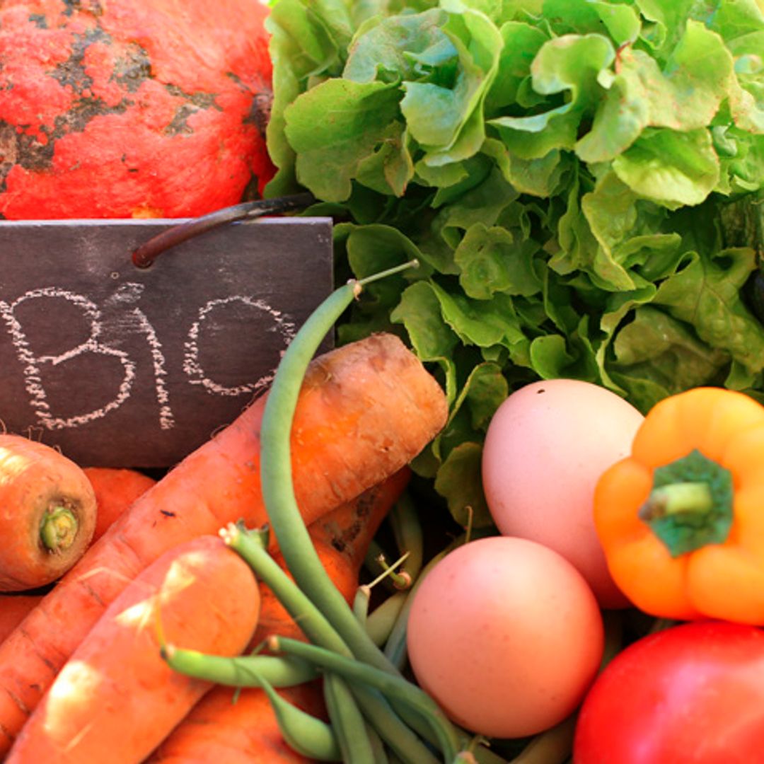 Productos naturales, BIO, ECO y orgánicos: ¿quién es quién?