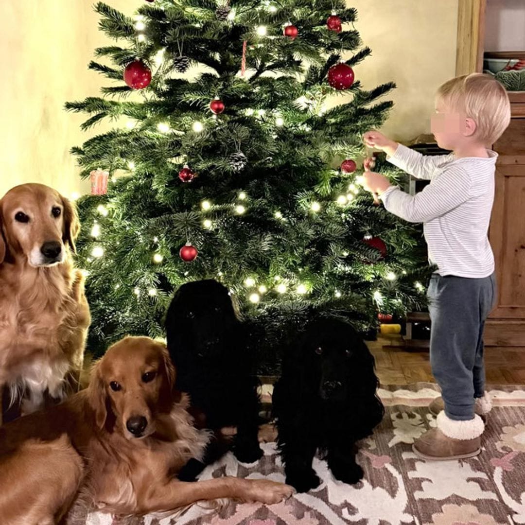 El adorable vídeo de Inigo, el sobrino de 2 años de Kate Middleton, poniendo el árbol de Navidad con sus perros