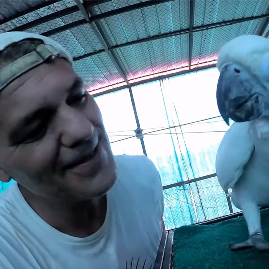 El motivo por el que Frank Cuesta se retira de la televisión