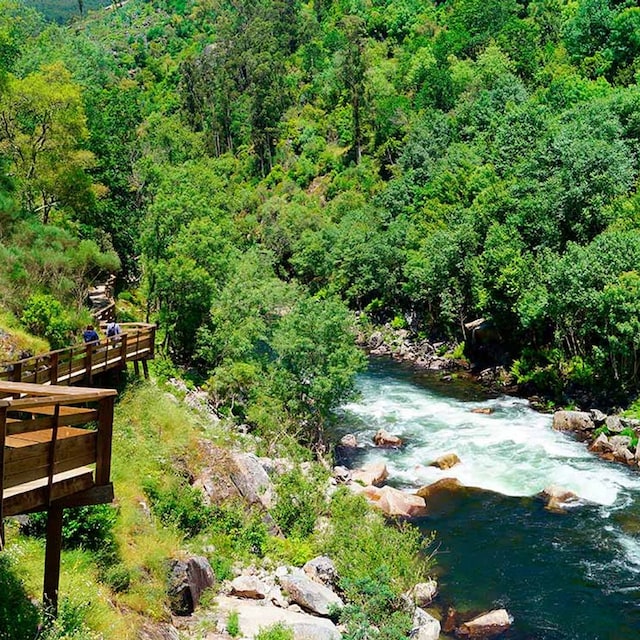 paiva pasarelas portugal