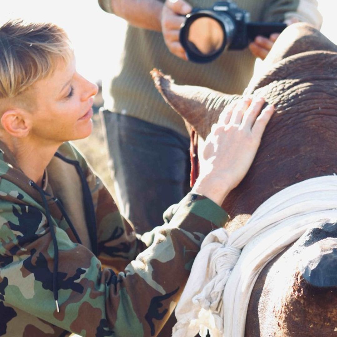 Charlene de Mónaco: misión en Sudáfrica, para salvar rinocerontes