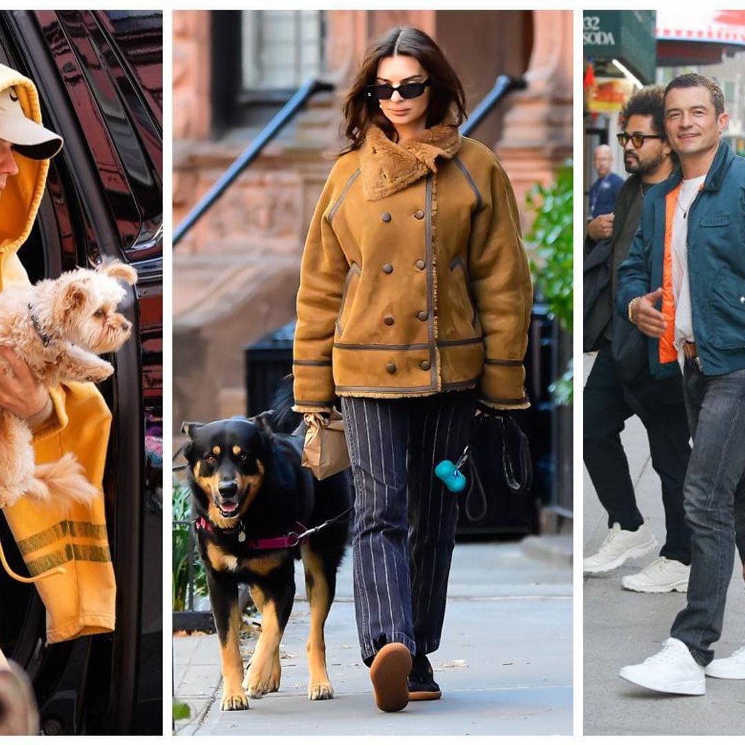 De Orlando Bloom a Salma Hayek, estas son las mascotas inseparables de los famosos