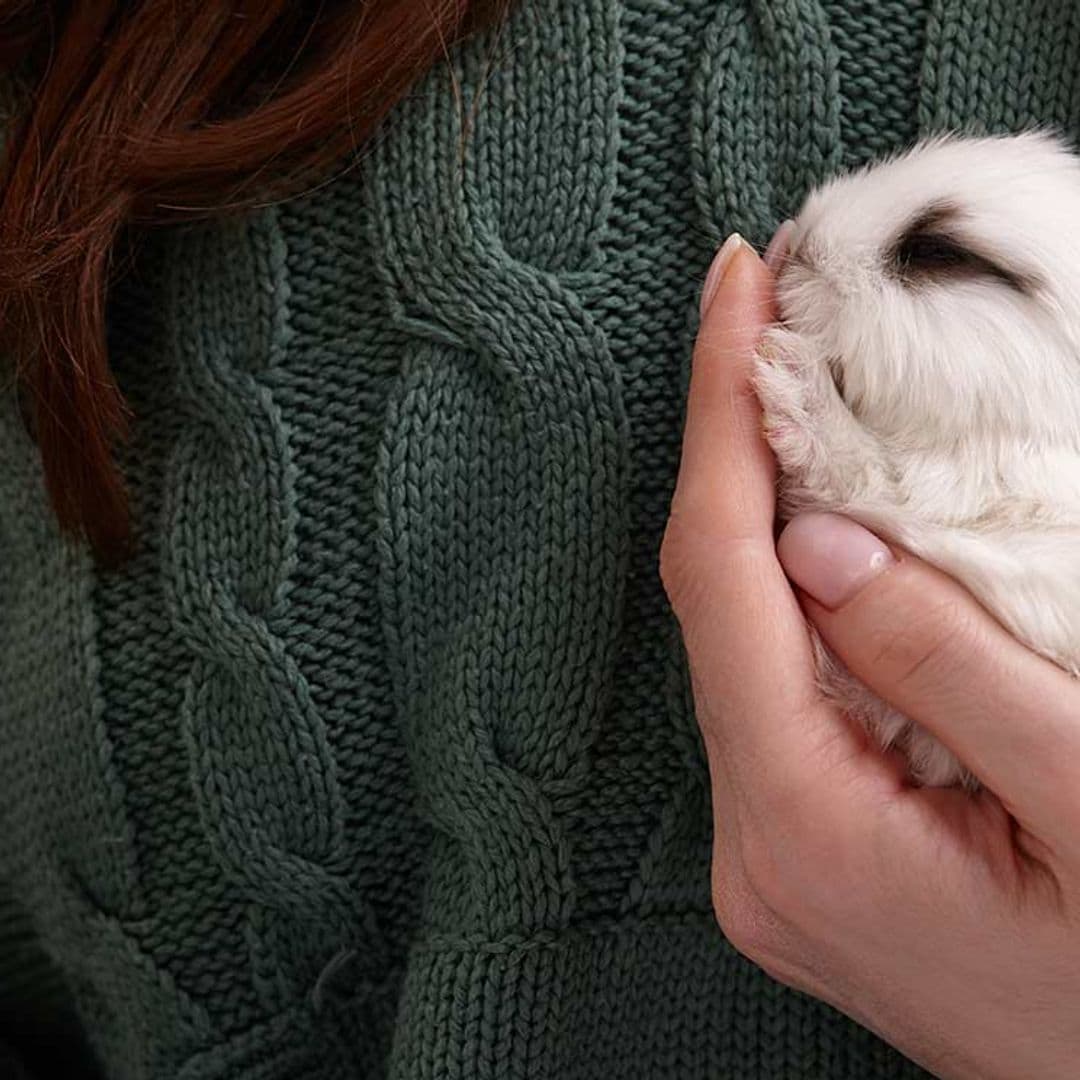 8 errores que tal vez cometes con tu conejo