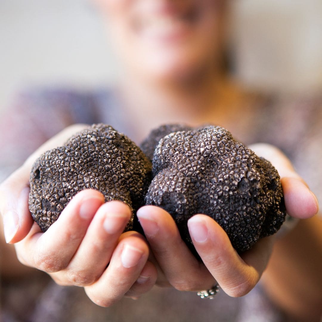 visitante con trufas negras en las truficas del río pilas, mora de Rubielos, Teruel