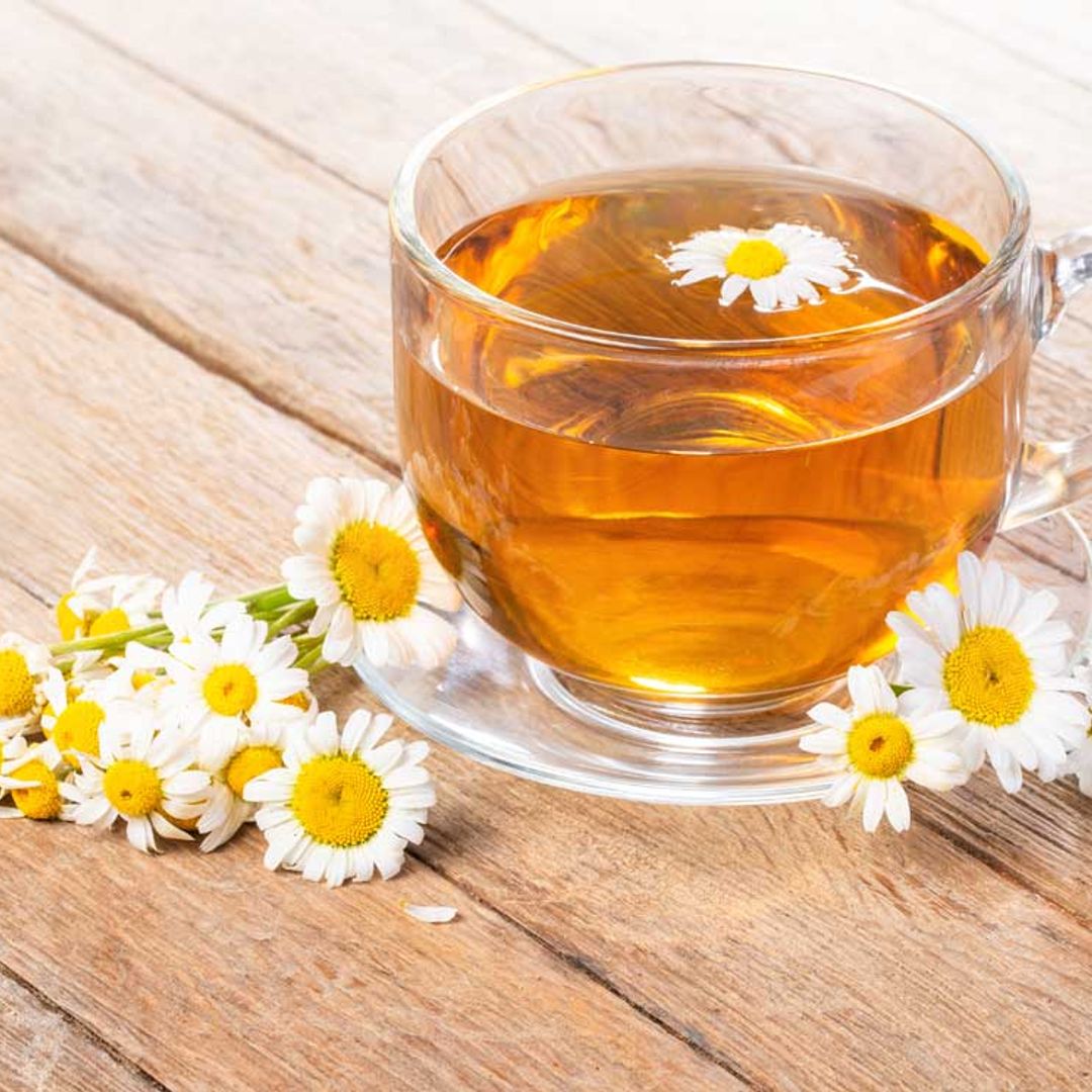 Manzanilla: las razones que te animarán a tener esta planta medicinal siempre en casa