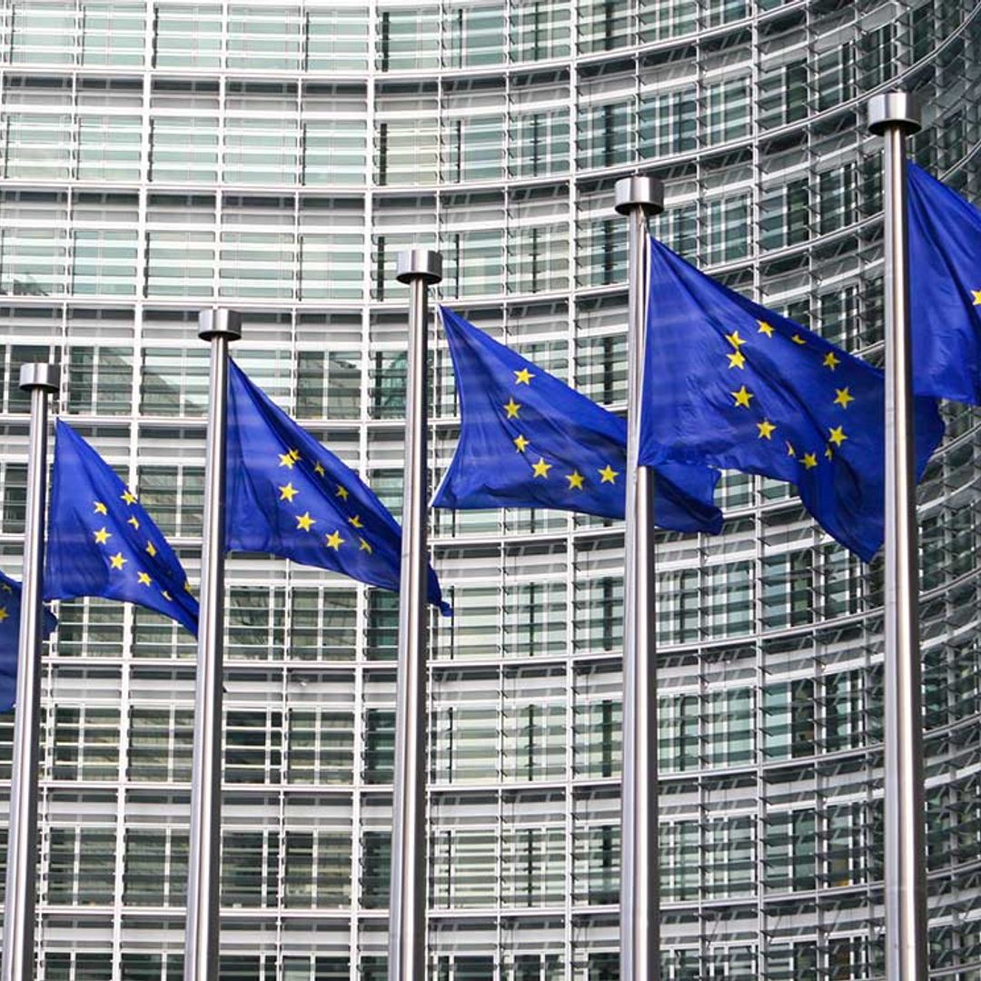 El medio ambiente definirá el voto en las próximas elecciones al Parlamento Europeo