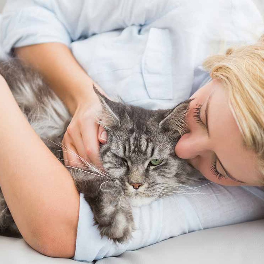 ¡Ojo! con los arañazos de gato