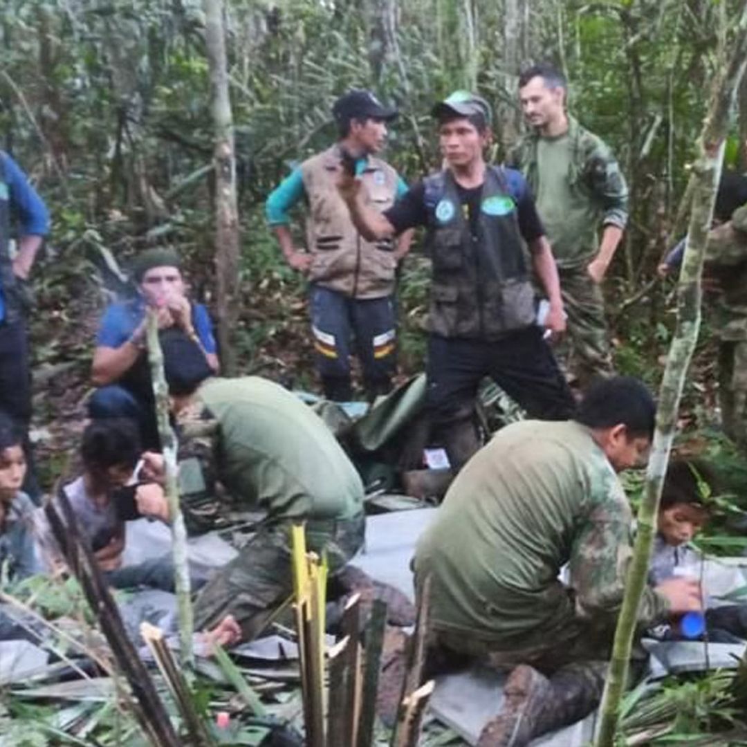 ¿Cómo lograron sobrevivir 4 niños, de 1 a 13 años, perdidos 40 días en la selva de Colombia? Las claves del ‘milagro’