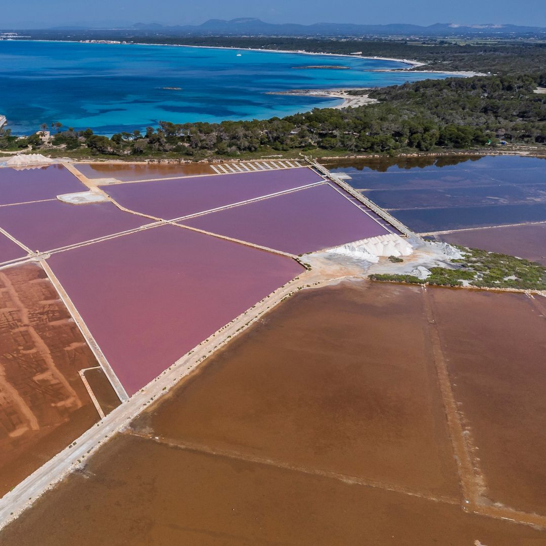 Ses Salines, sur de Mallorca