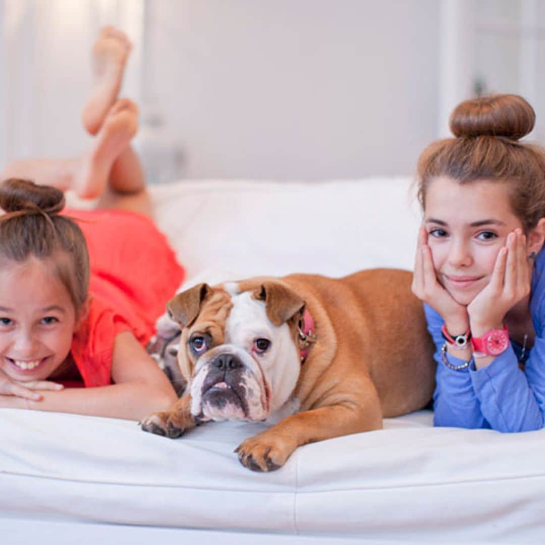 'What the fluff challenge', el reto viral que protagoniza tu mascota