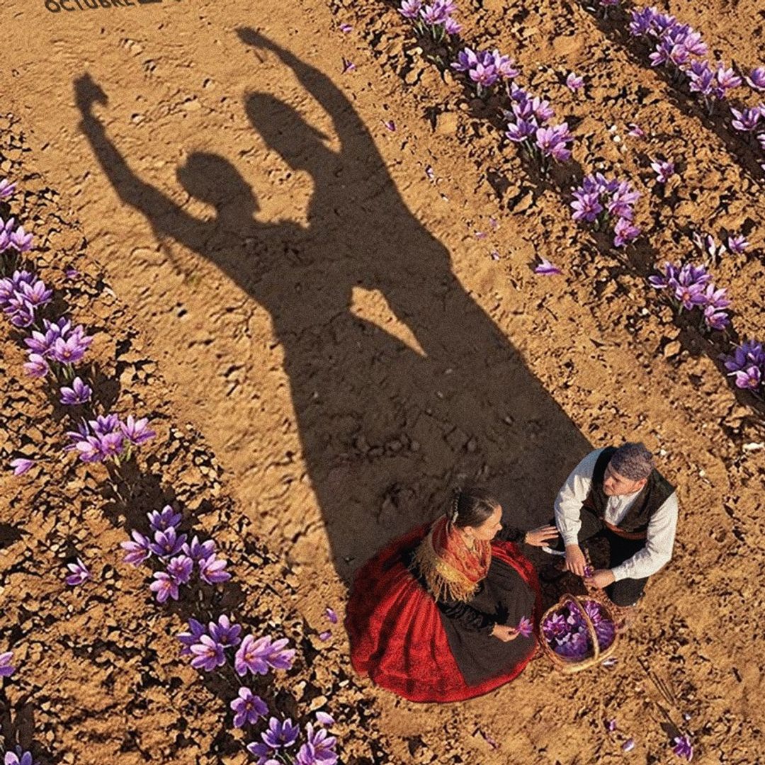 Fiesta de la Rosa del Azafrán, Consuegra, Toledo