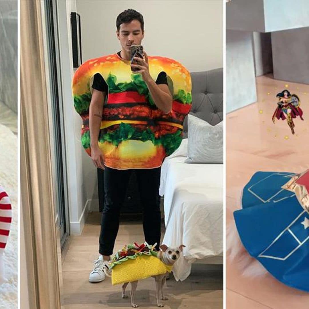 Las mascotas de los famosos también celebraron Halloween