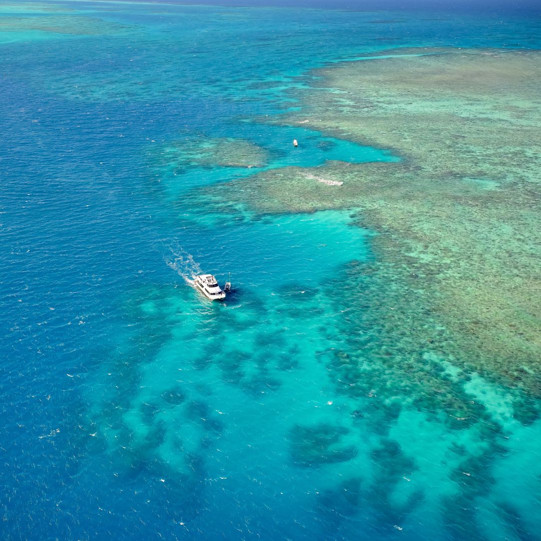 Gran Barrera de Coral, Australia