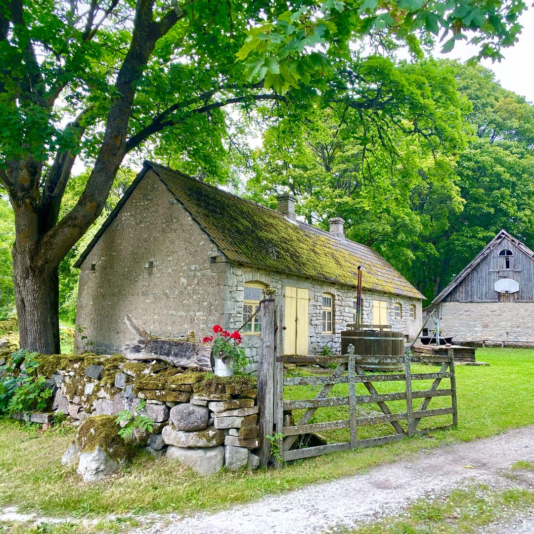 Aldea pesquera de Koguva, con casas cubiertas de techos de paja, en la isla de Muhu Estonia.