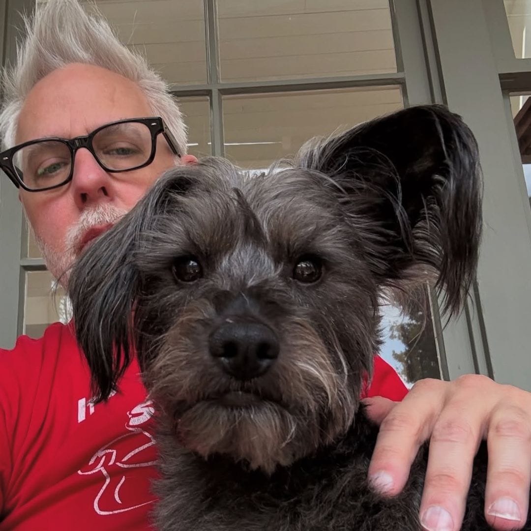 Ozu es el perro rescatado del director James Gunn
