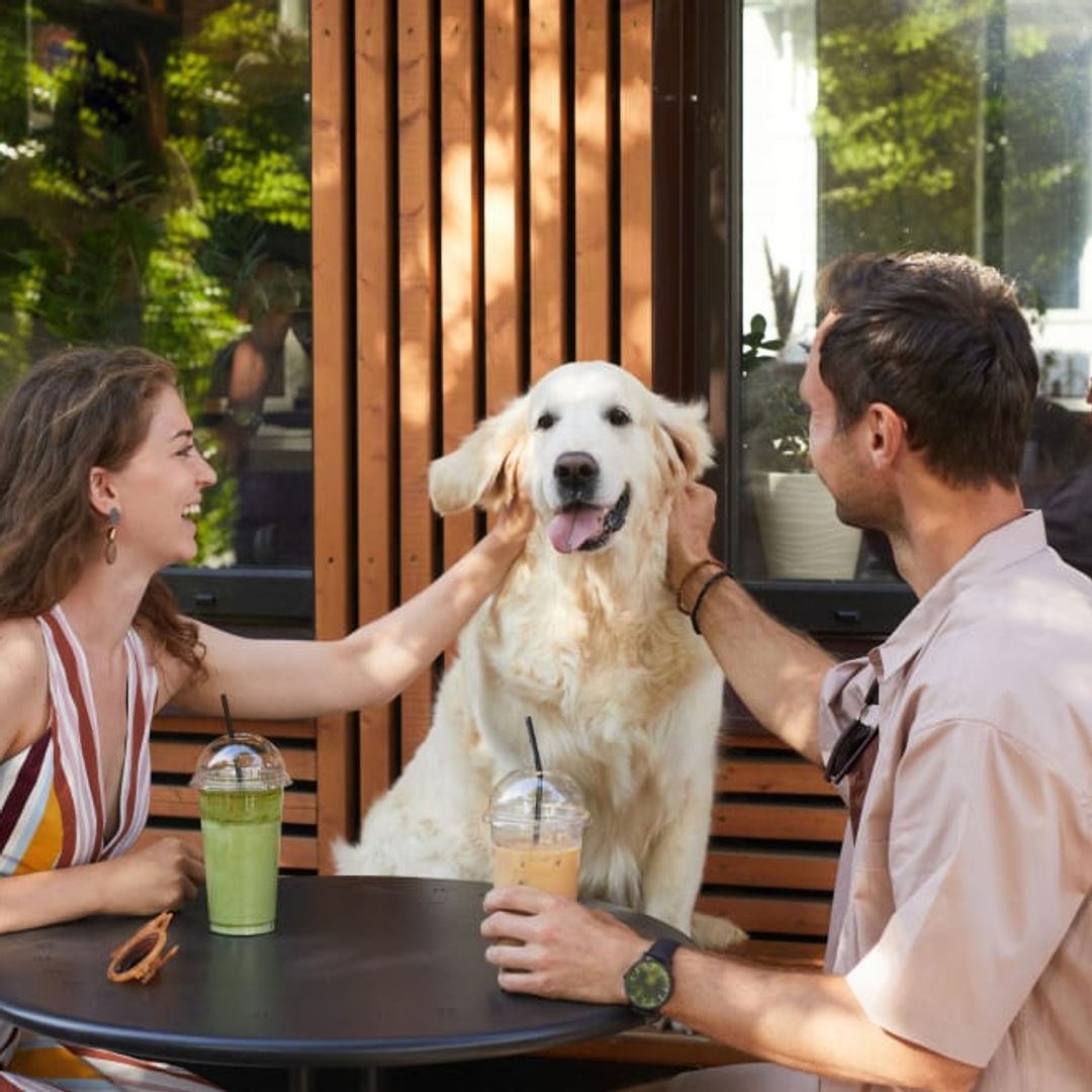 Las mascotas pueden ser parte de un plan familiar gracias a las opciones pet-friendly.