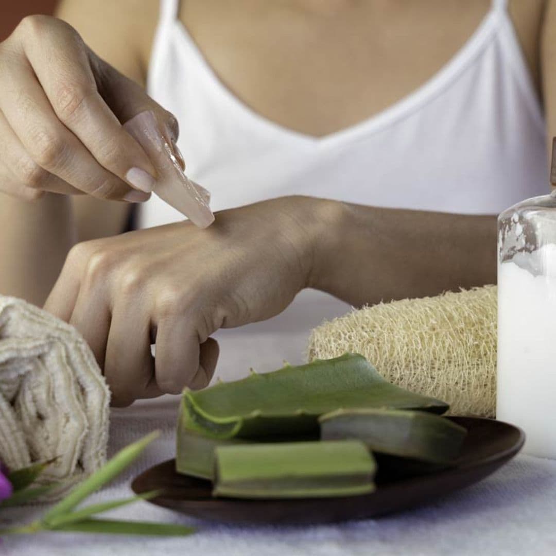 Las propiedades que harán del aloe vera tu planta medicinal preferida
