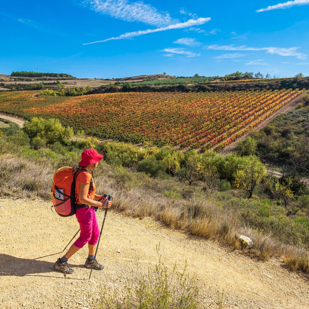 Peregrina por el Camino de Santiago a su paso por Viana, Navarra