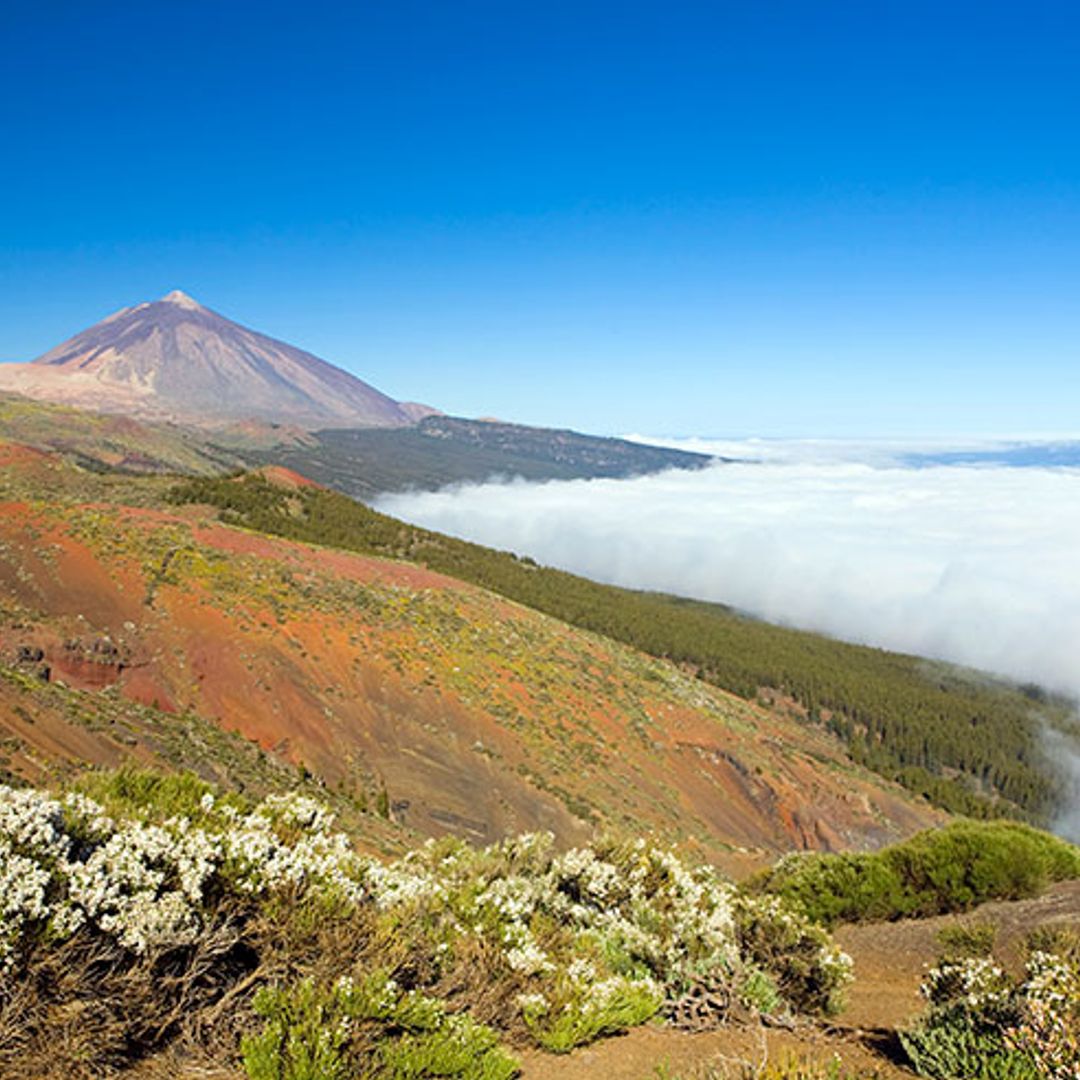 Subir al Teide, la experiencia que no puedes perderte en Tenerife