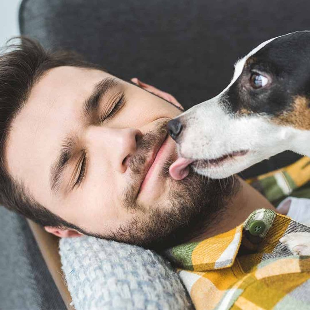 Manías de perros: ¿a ti también te molestan?