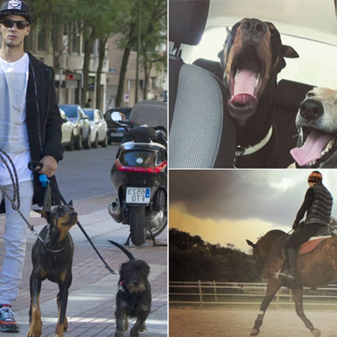 Pistacho y… la nueva ‘manada’ de Blanca Suárez y Joel Bosqued