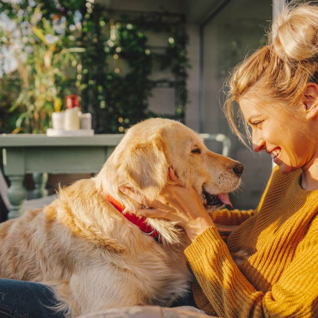 ¿Sabes qué siente tu perro cuando le acaricias?