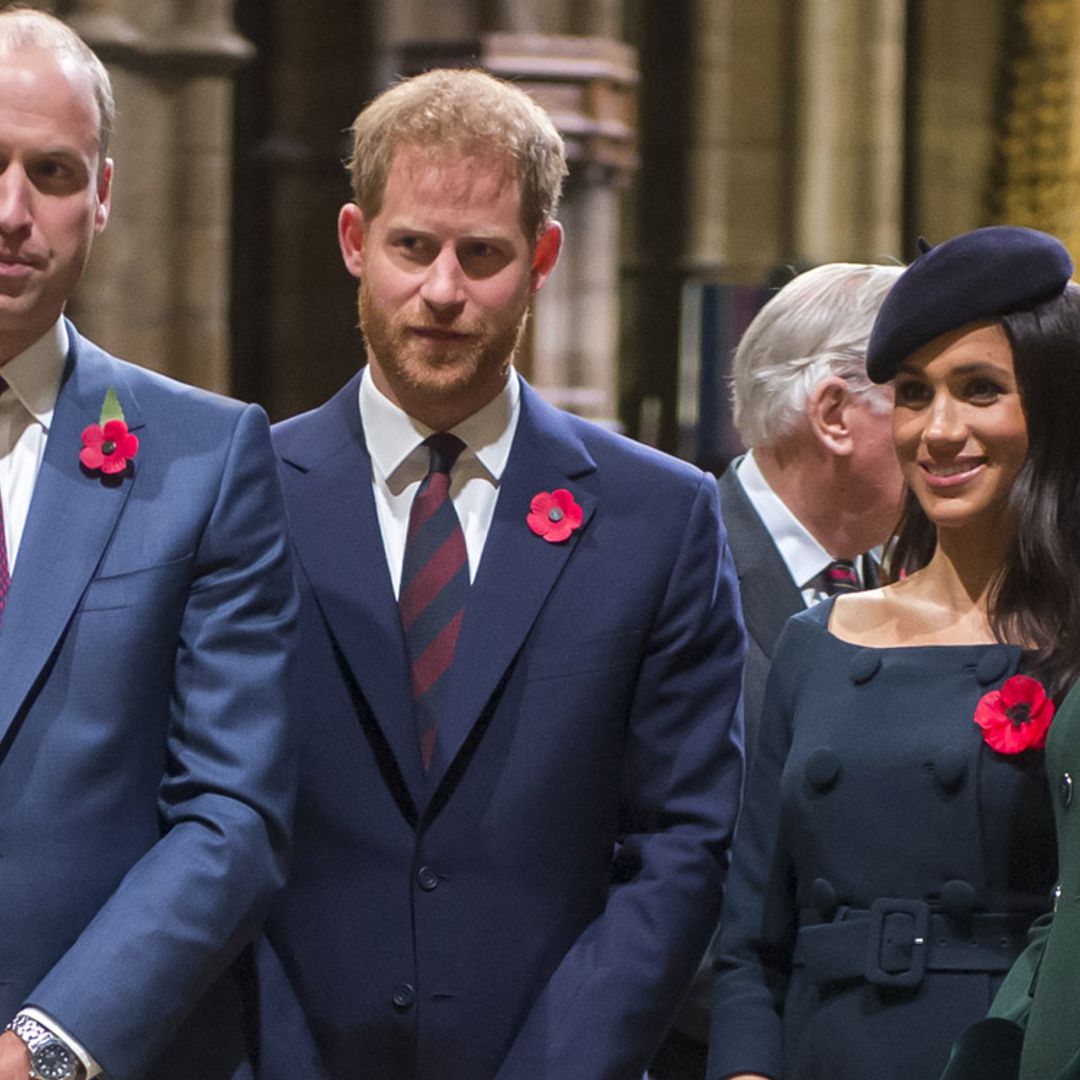 Los Duques de Cambridge y de Sussex se unen en su primer proyecto desde la separación de sus casas