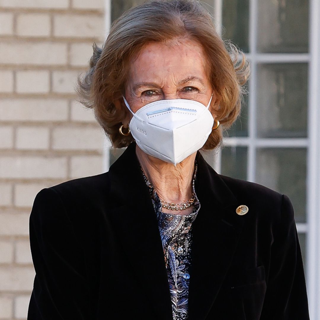 Doña Sofía lidera la 'operación frío' más cálida que podamos imaginar