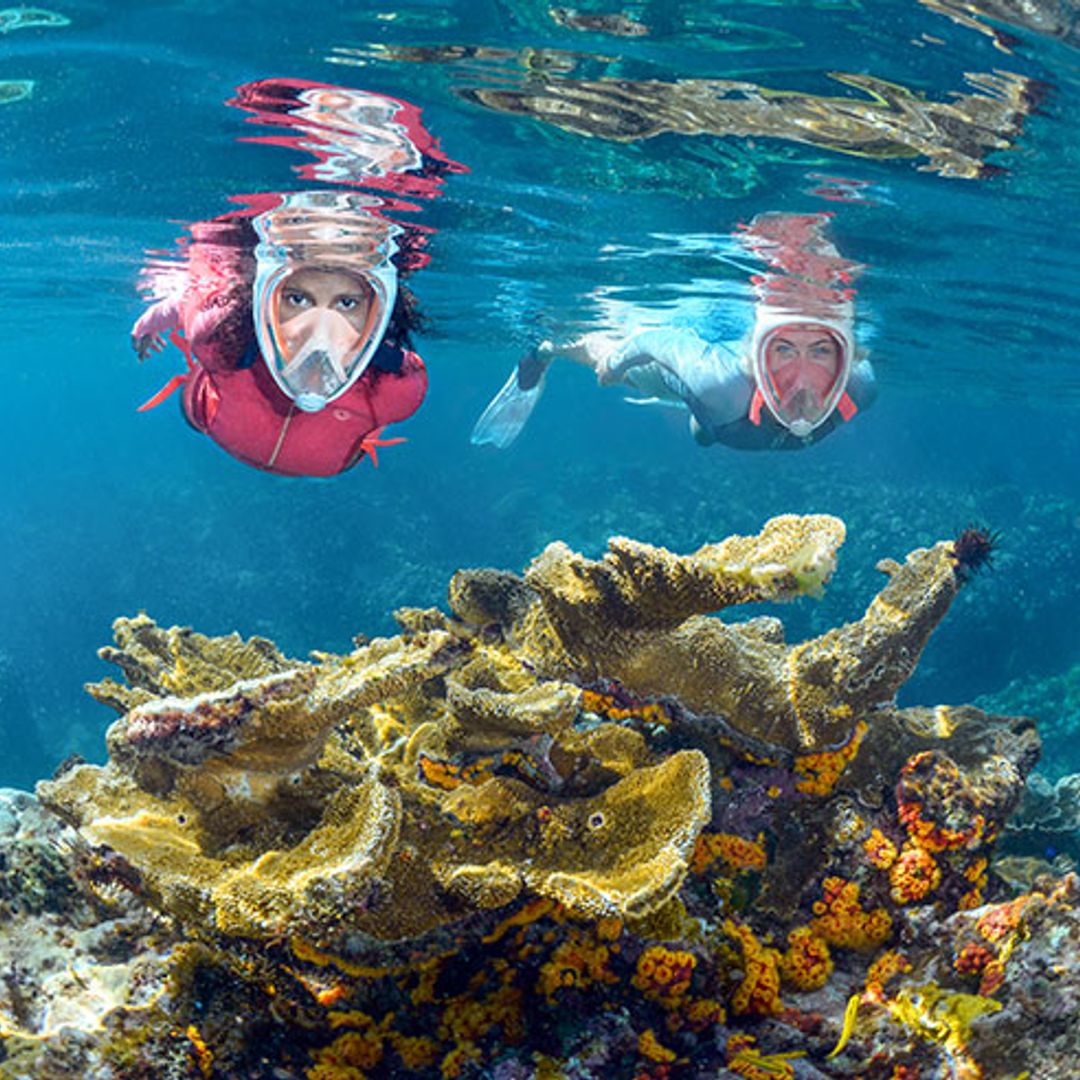 ¿Sabías que solo conocemos un 5% de todo lo que esconde el mar?