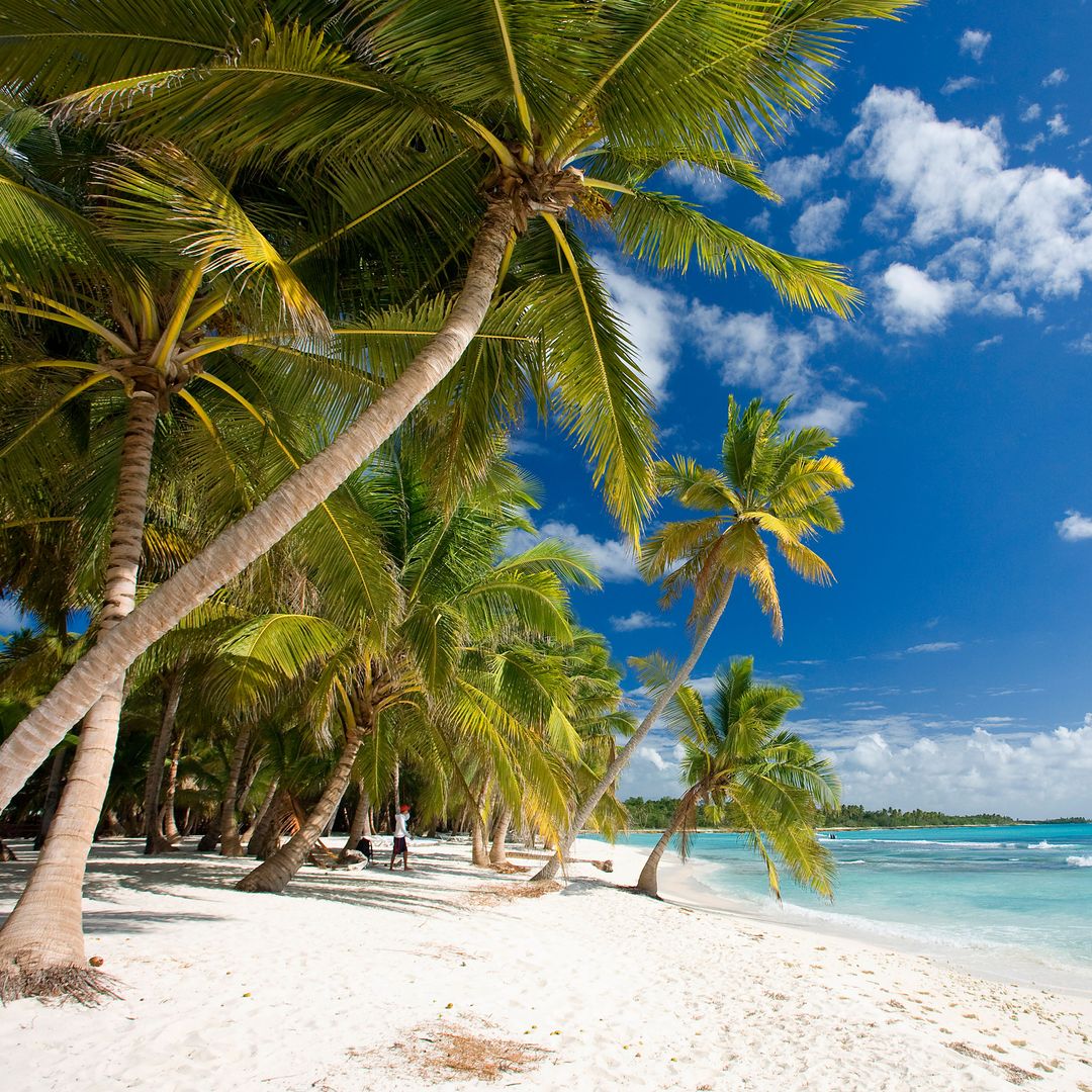 Punta Cana con alma aventurera: entre playas soñadas, islas vírgenes y adrenalina tropical