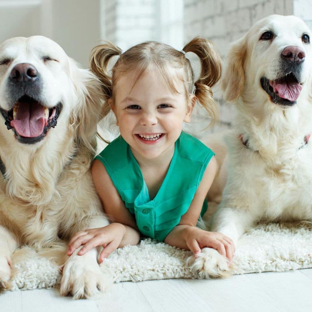 ¡Hoy es su día! Apunta estos beneficios psicológicos de tener un perro en la familia