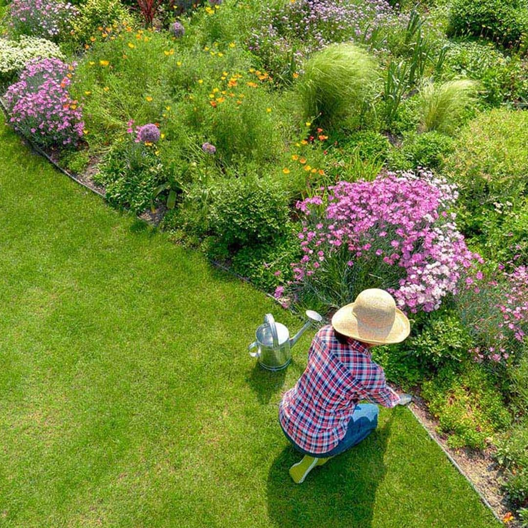 Todos los cuidados que debes darle a tu jardín en primavera