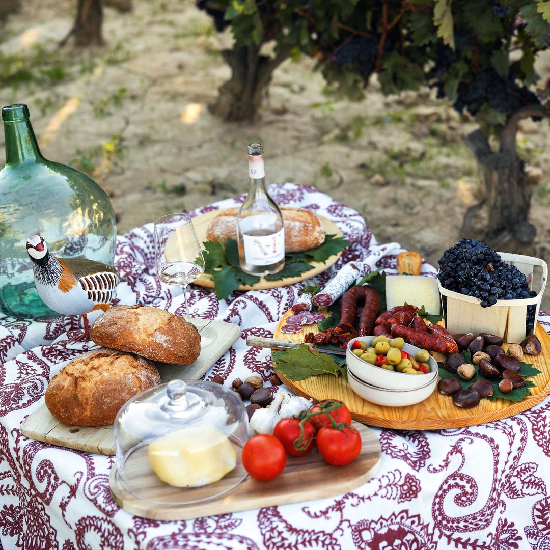 Picnic entre vides