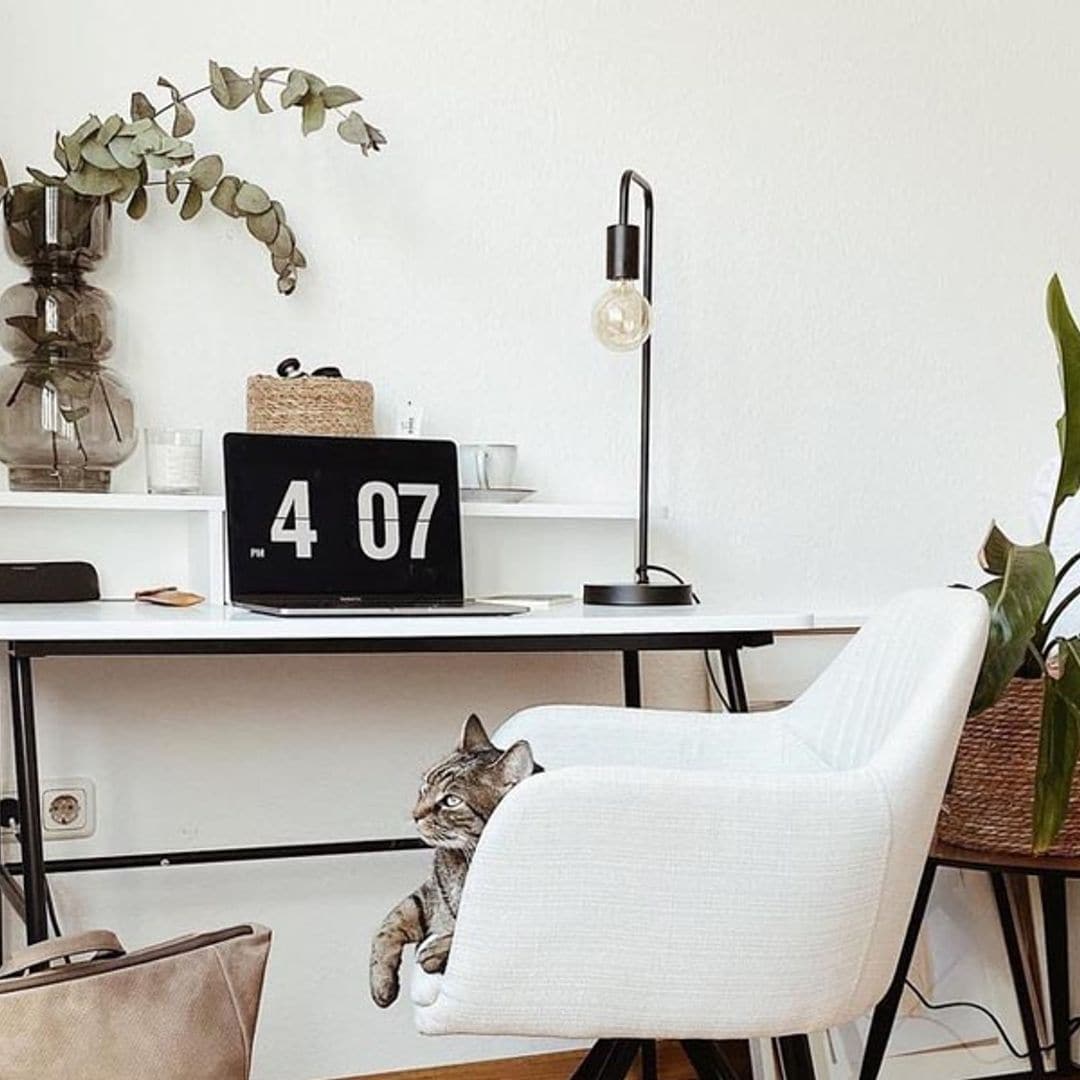 ¡Feliz 'tecnovuelta' a las rutinas!: todos los artículos electrónicos que van a ponértelo fácil