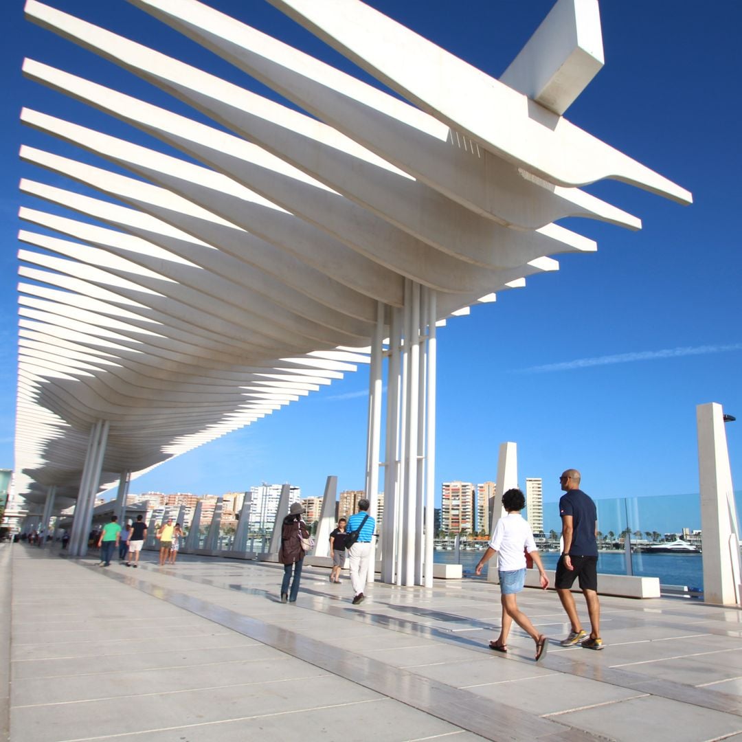 Palmeral de Málaga
