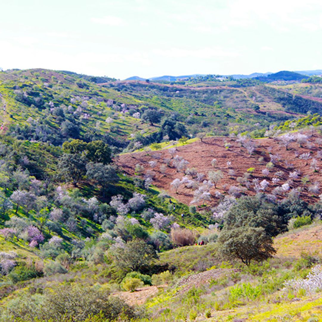 El Algarve en flor o una escapada de invierno al sur de Portugal