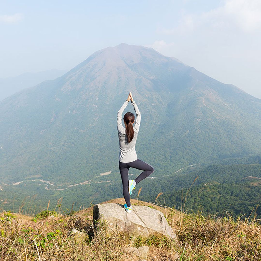 Del 'doga' al 'goat yoga': la fiebre 'yogui' se adentra en el mundo animal