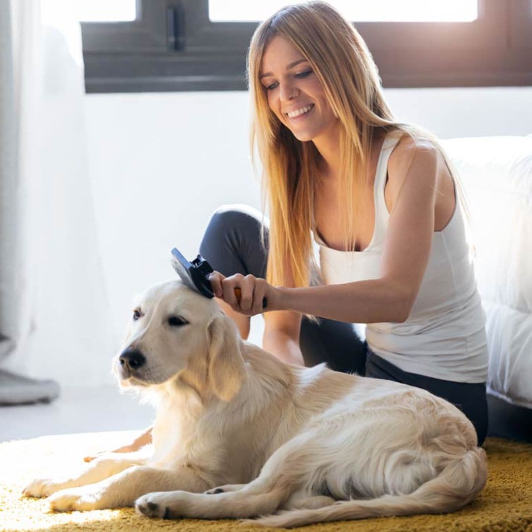 ¿Cómo puedo quitar los nudos a mi perro sin hacerle daño ni ir a la peluquería?