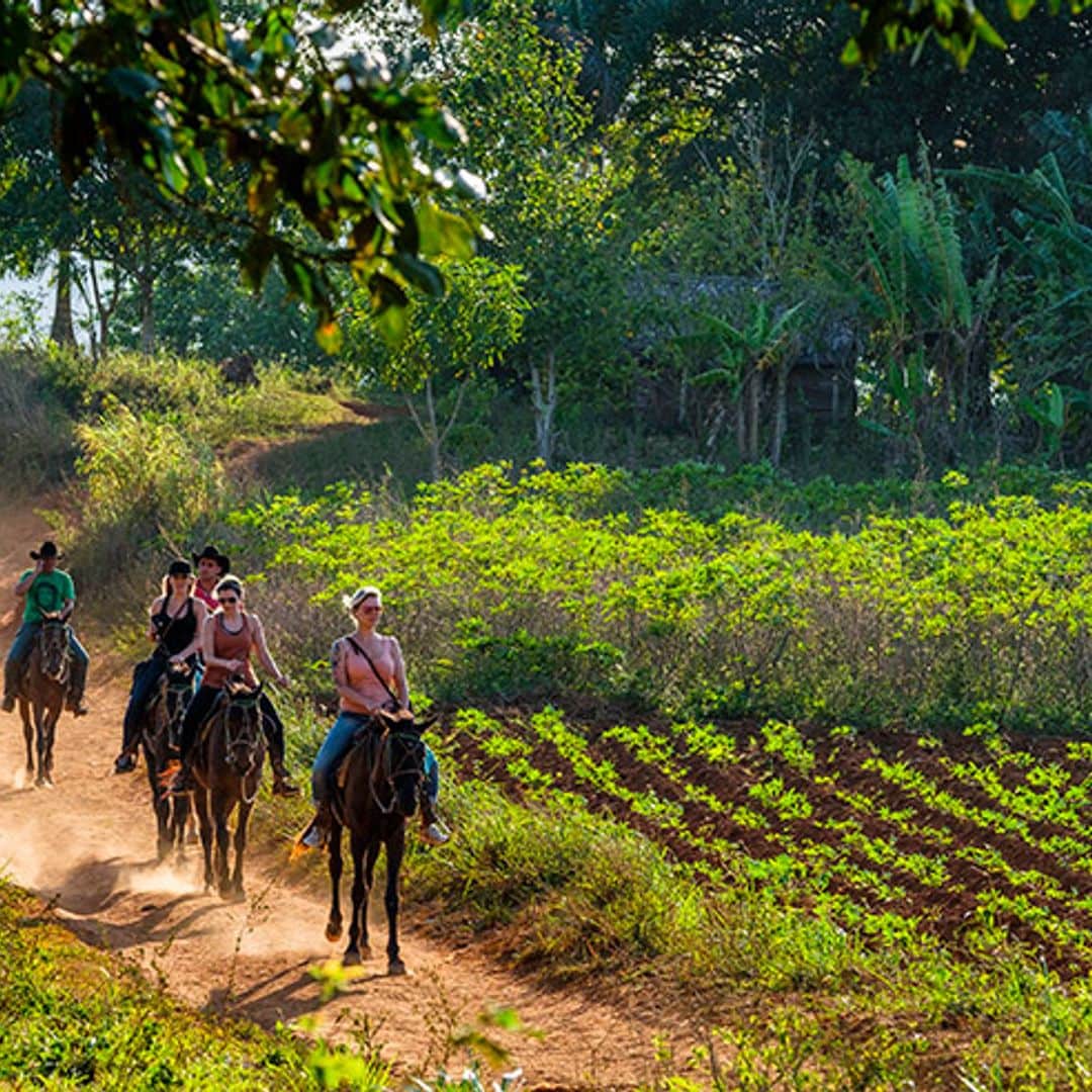 El Valle de Viñales, la riqueza de Cuba más allá de La Habana