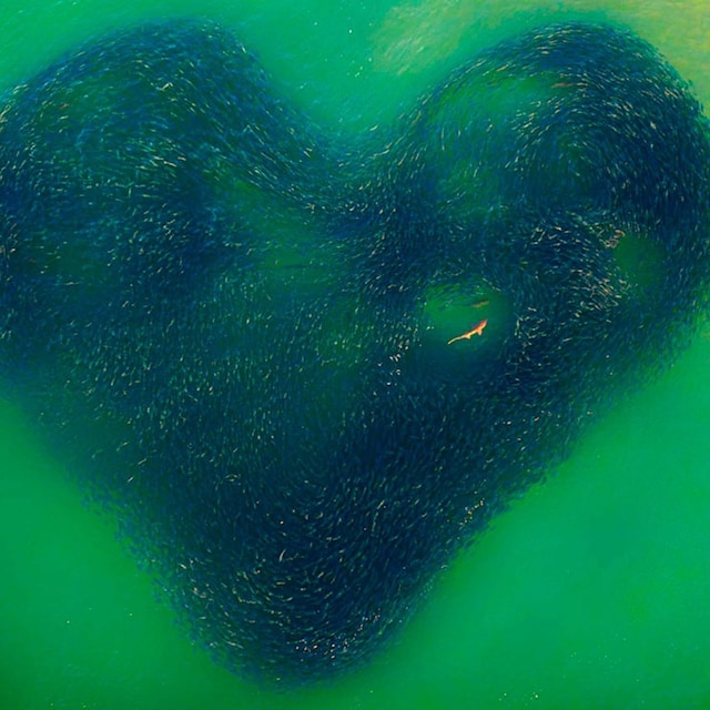 love heart of nature