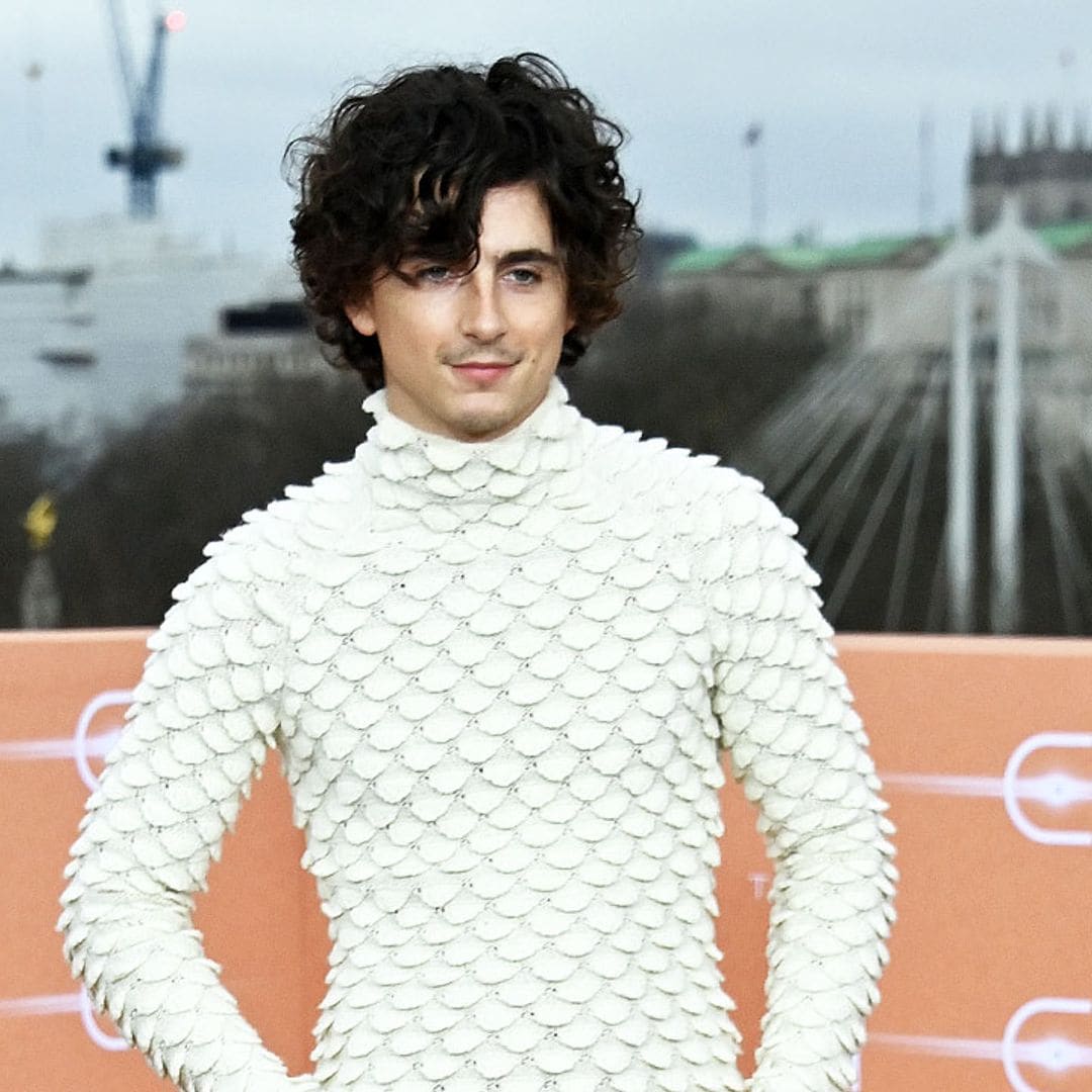 Timothée Chalamet desafía las barreras de la moda con un original jersey de 'escamas'
