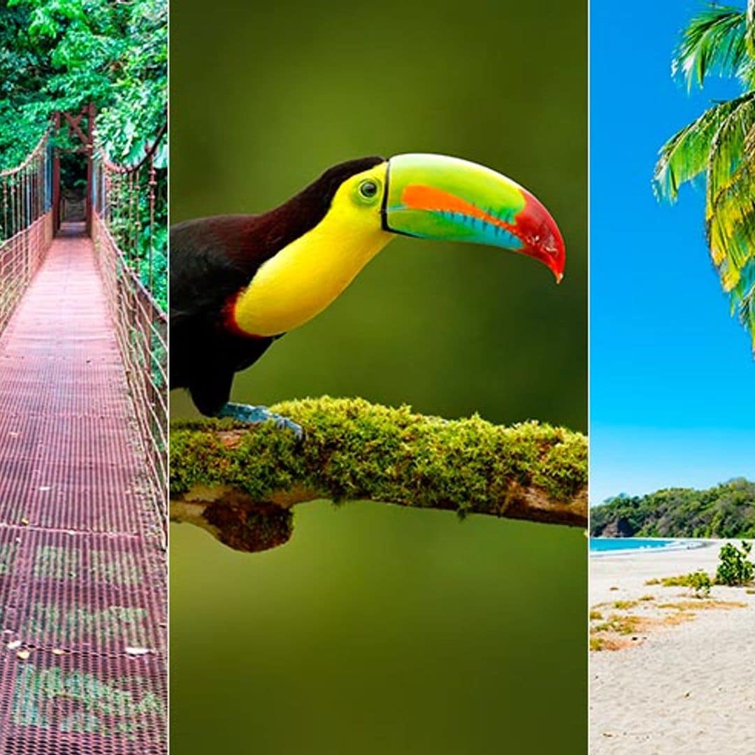 Sin PCR, paraíso sostenible y otros motivos para salir volando a Costa Rica
